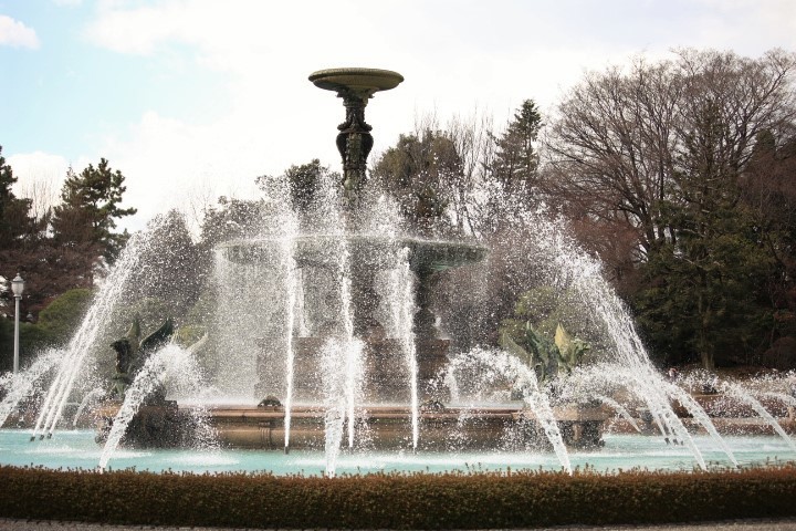 f0354923_01582724.jpg