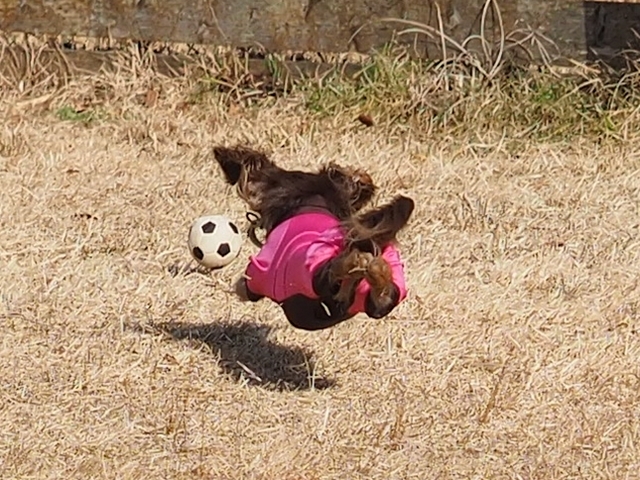 c0117831_21373321.jpg