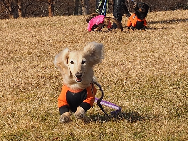 c0117831_21392980.jpg