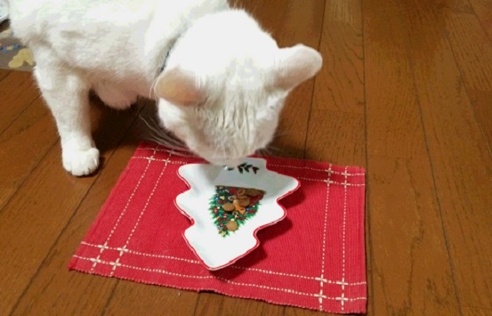 f0002833_162979.jpg
