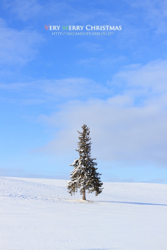 e0347334_19464600.jpg