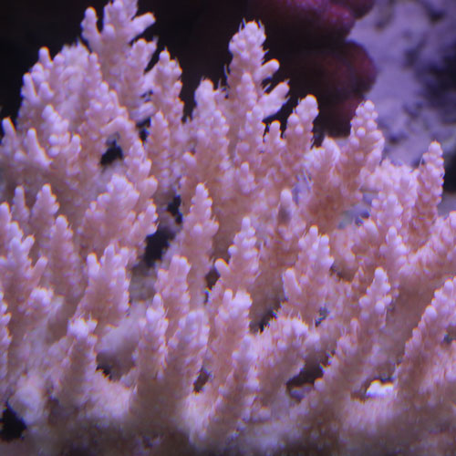 d0221436_20311356.jpg