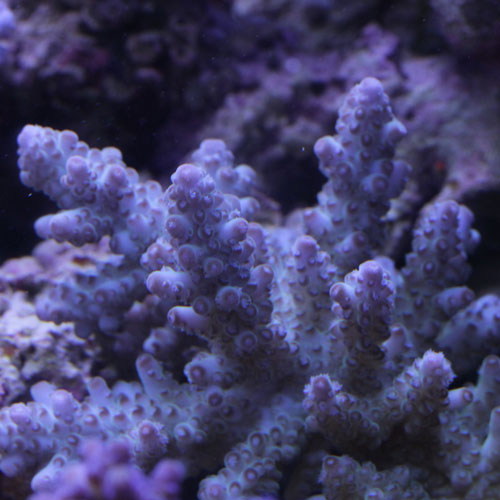 d0221436_203135.jpg