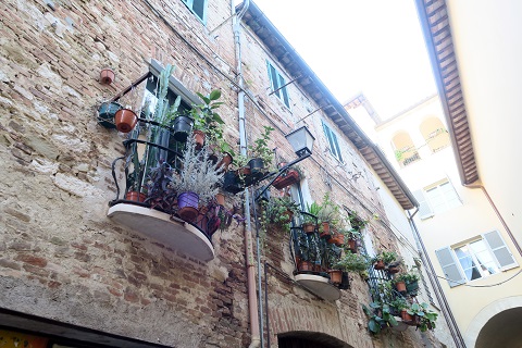 f0234936_8361166.jpg