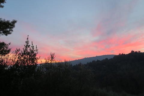 f0234936_841022.jpg