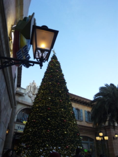c0056437_1950773.jpg