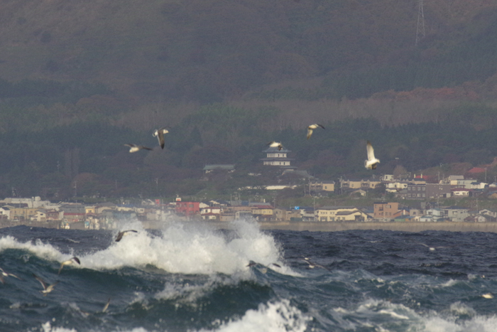 b0247838_074079.jpg
