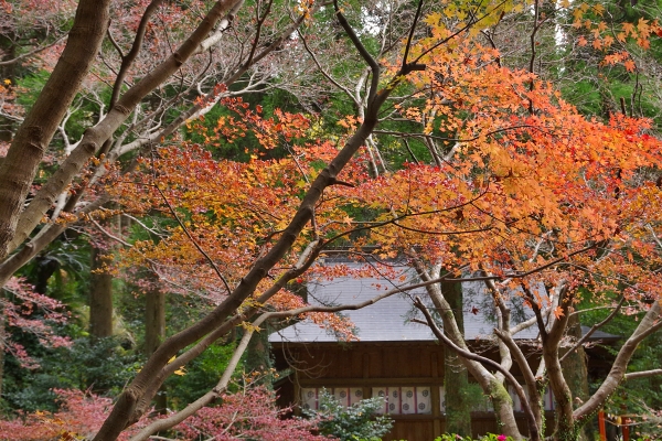 c0281841_13293040.jpg