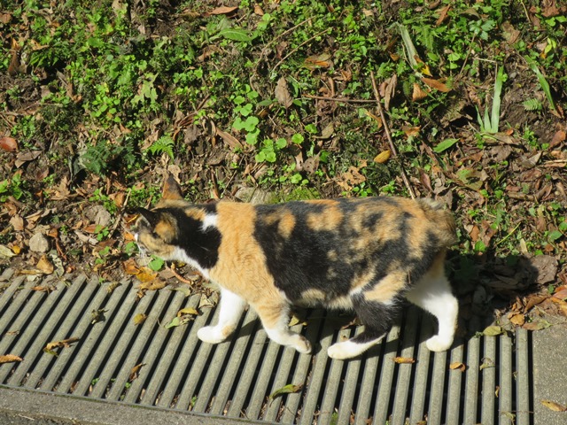 f0202151_22301629.jpg