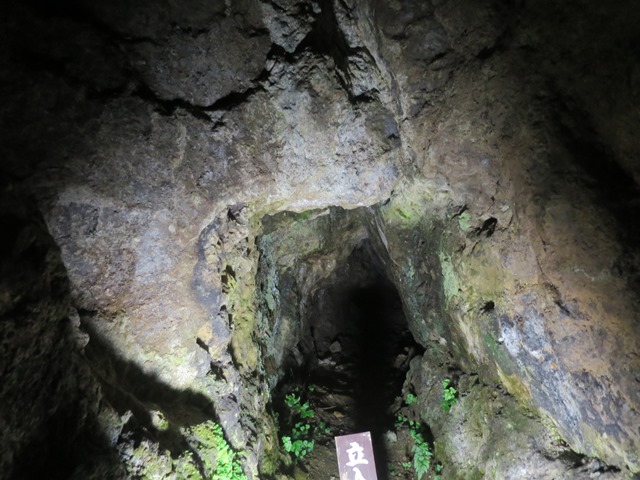 f0202151_2244745.jpg
