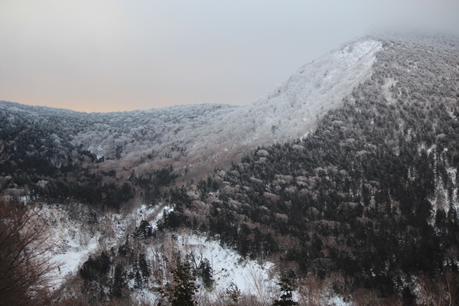 e0239458_20045151.jpg