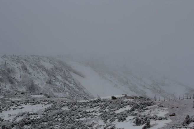 e0239458_20045193.jpg