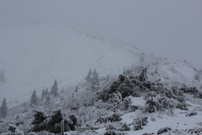 e0239458_20074143.jpg
