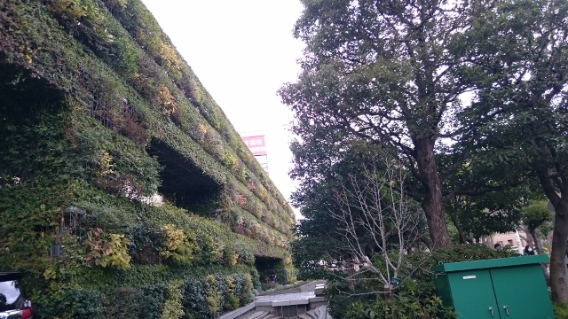 c0328559_14302326.jpg