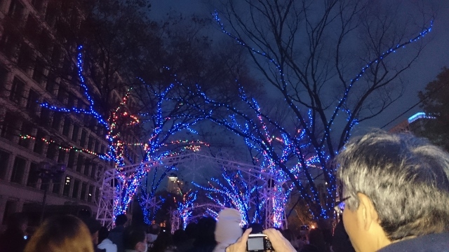 c0328559_14312078.jpg