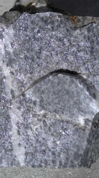 d0171959_19434981.jpg