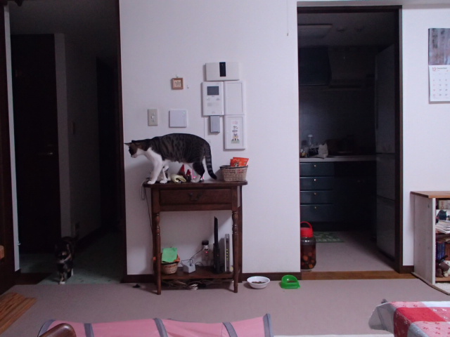 e0303570_1844238.jpg