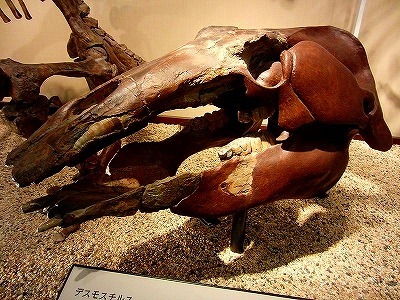 b0171771_04054064.jpg