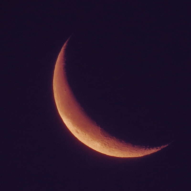 c0183777_16342614.jpg