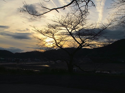 f0073587_112331.jpg