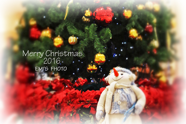 MERRY christmas - my FHOTO