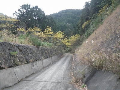 f0187402_18595472.jpg