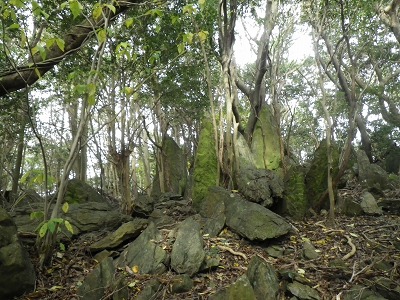 f0187402_1901410.jpg