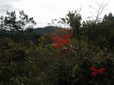 f0187402_20204350.jpg