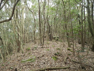 f0187402_20211056.jpg