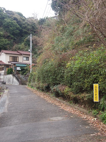 e0245404_14162496.jpg