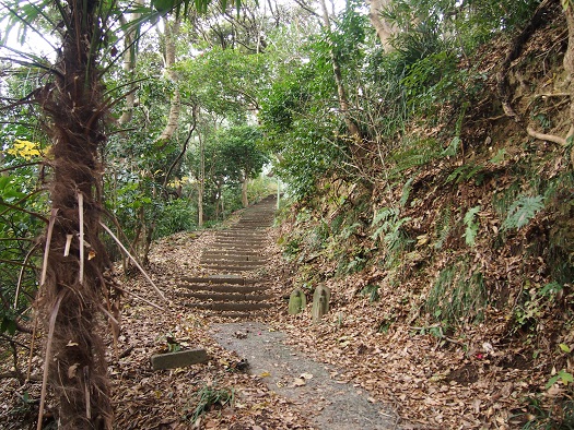 e0245404_23444742.jpg