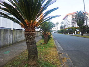 c0195909_14463117.jpg
