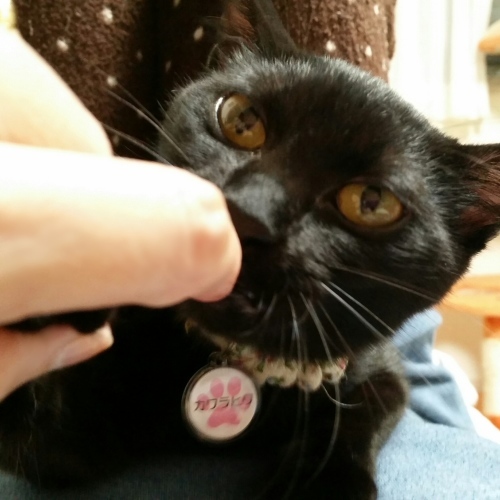 e0144012_16391321.jpeg