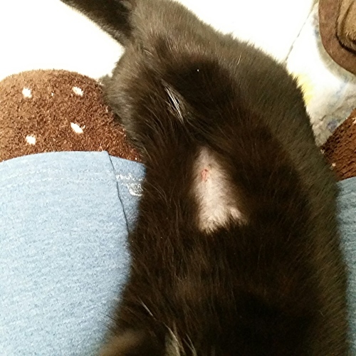 e0144012_18211974.jpeg