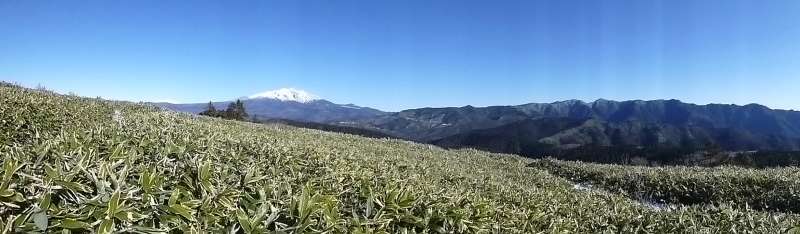 d0170615_20550019.jpg