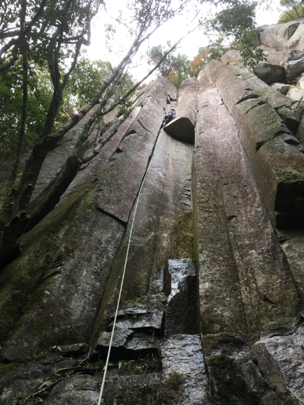 c0210618_12135907.jpg