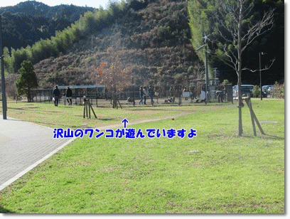 b0167519_20581250.gif