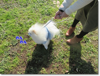 b0167519_20582935.gif