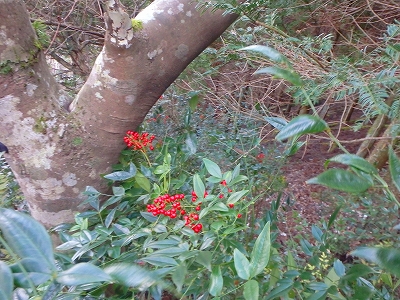 f0193521_20564548.jpg