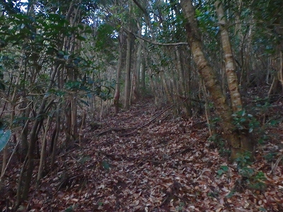 f0193521_433507.jpg