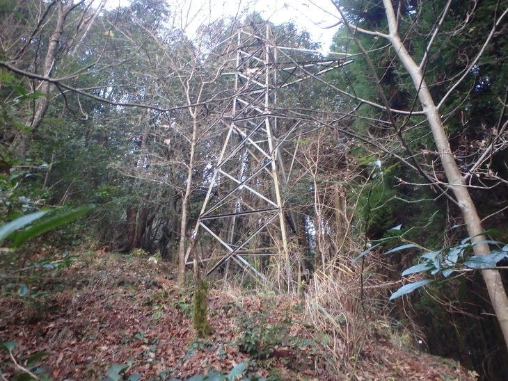 f0193521_4351296.jpg