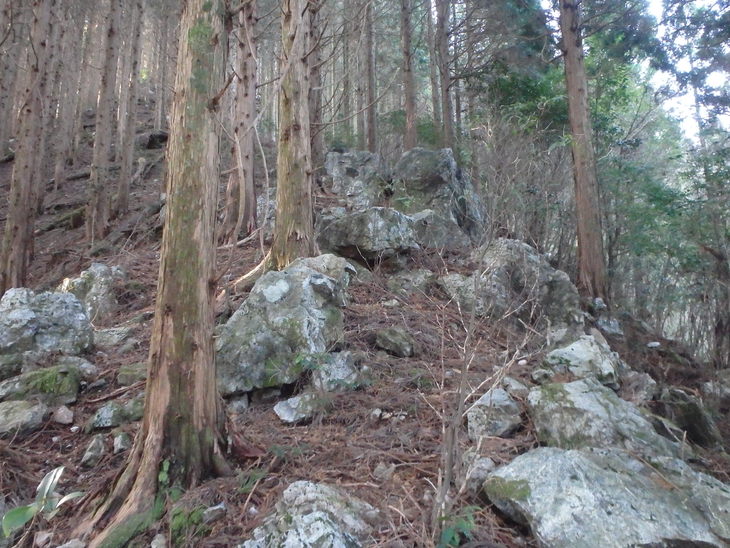 f0193521_8415955.jpg