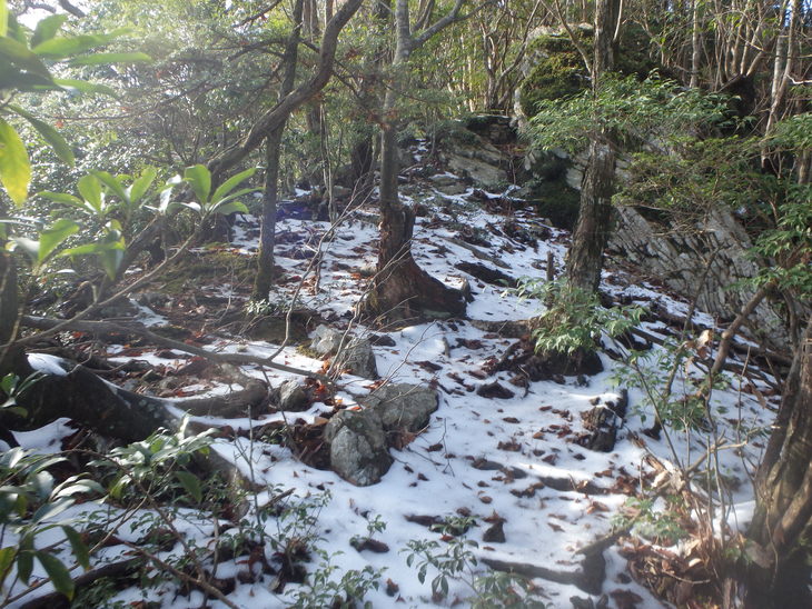 f0193521_846572.jpg