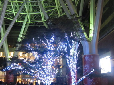 d0162225_00114151.jpg