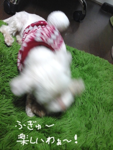 a0012531_14232749.jpg