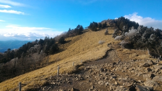 d0021932_21413289.jpg