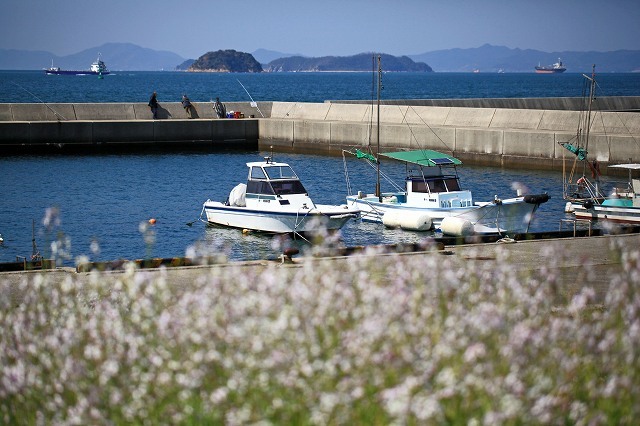 a0242438_20551641.jpg