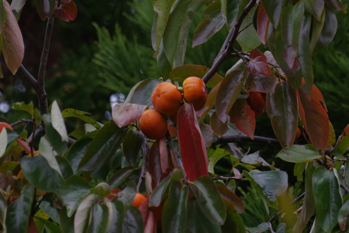 b0247838_22595299.jpg