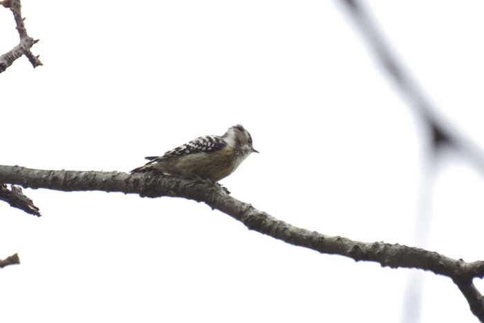 b0247838_230321.jpg