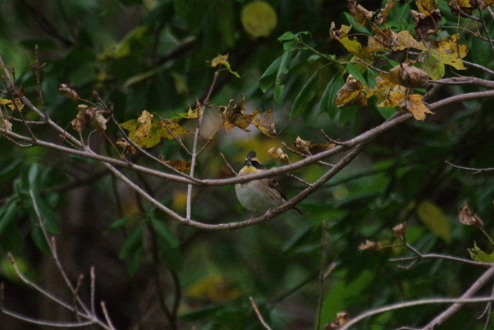 b0247838_2303396.jpg